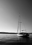 Sailboat by Mike Wilmot